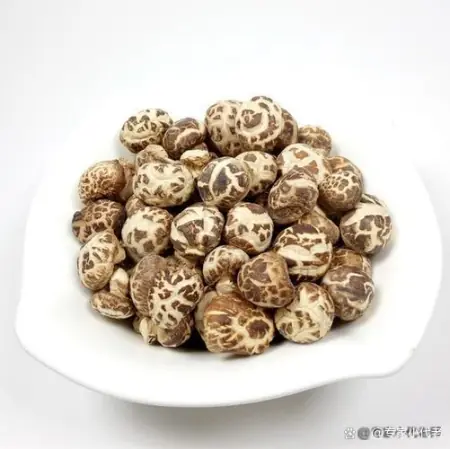我国最好吃的五大蘑菇,你吃过几个,第一二名以鹿茸和珍珠命名 8 我国最好吃的五大蘑菇,你吃过几个,第一二名以鹿茸和珍珠命名 8